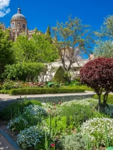 Huerto de Calixto