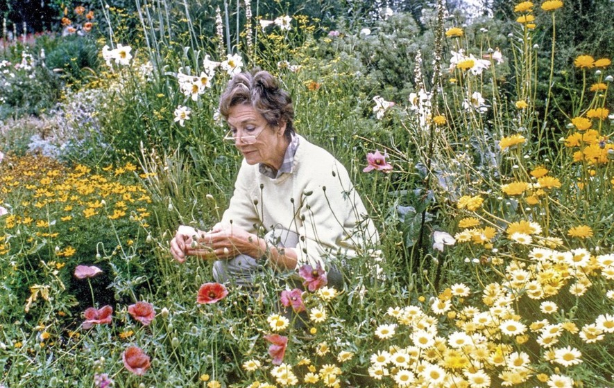 Beth Chatto en su jardín, en 1980.
